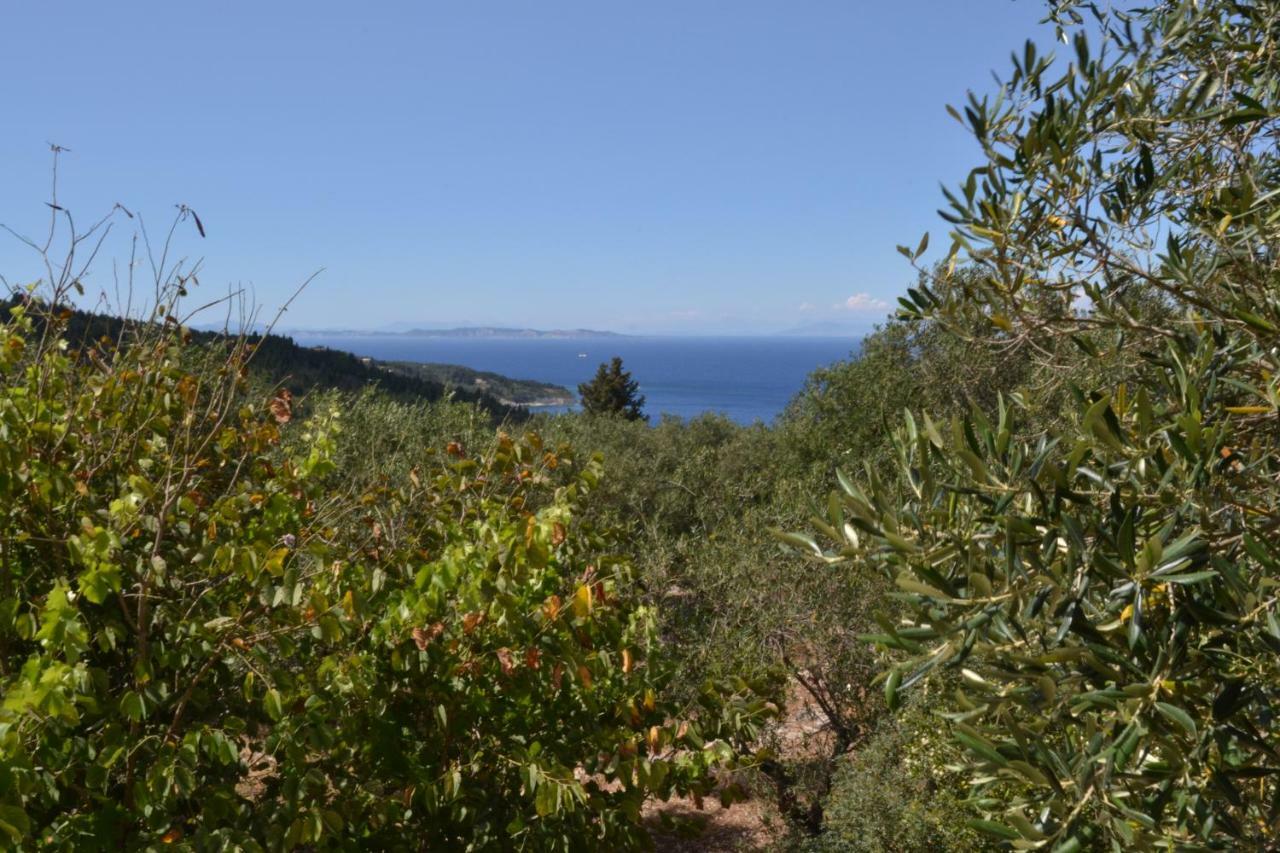 Villa Elaia Suites & Apartments No.1 Gaios Bagian luar foto