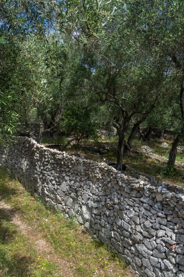 Villa Elaia Suites & Apartments No.1 Gaios Bagian luar foto